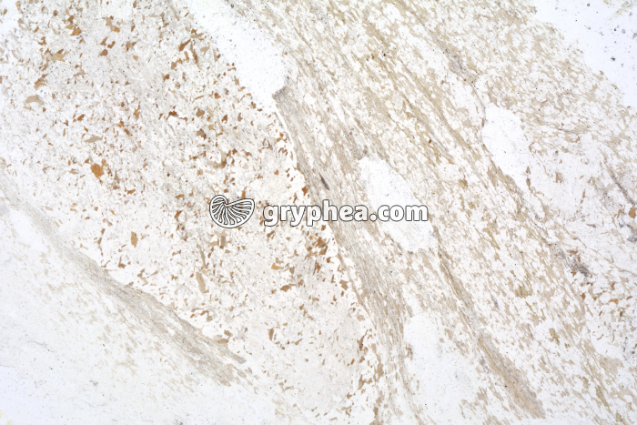 Micaschiste à sillimanite LPNA x1,7 - gryphea.com